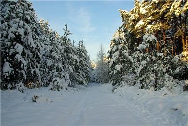 《恐龙小当家》封测开启！新章节与机制加入趣味十足！